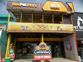 BeePetMart Pet Shop Makassar