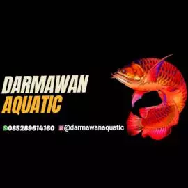 Darmawan Aquatic