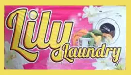 Lily Laundry