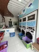 K9 Laundry Express Surabaya