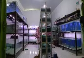 Arika Jaya Aquarium