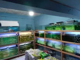 Cisarua Aquarium