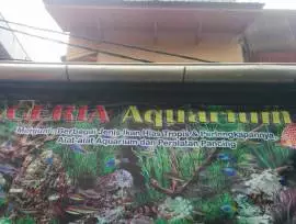 Ceria Aquarium