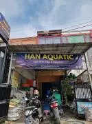 Han Aquatic 