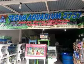 Teguh Aquarium 5758