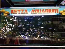 KEYZA Aquarium