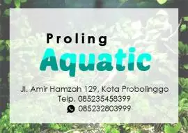 Aquatic Probolinggo