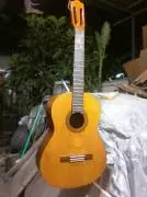 Handwood Guitarra